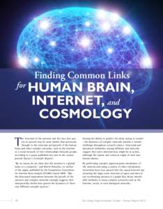 for  Finding Common Links Human Brain, 	 Internet, and