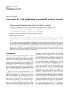 Diversity of the DNA Replication System in the Archaea Domain