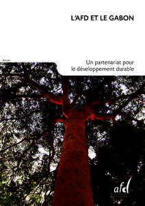 L’AFD ET LE GABON  © B. Lardit Un partenariat pour le développement durable