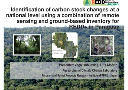 Identification of carbon stock changes at a national level using a combination of remote sensing and grand-based inventory for REDD+ in Paraguay
