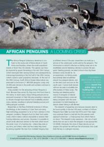 African Penguins a looming crisis  T he African Penguin Spheniscus demersus is confined to the coasts and offshore islands of South Africa and Namibia, where the world population