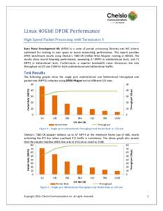 Linux 40GbE DPDK Performance High Speed Packet Processing with Terminator 5 Data Plane Development Kit (DPDK) is a suite of packet processing libraries and NIC drivers optimized for running in user space to boost network