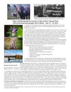 Isle Royale Isle Royale Photography Photography Workshop