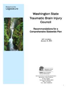 Report to the  Legislature Washington State Traumatic Brain Injury