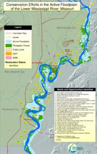 Conservation Efforts in the Active Floodplain of the Lower Mississippi River: Missouri 1  2