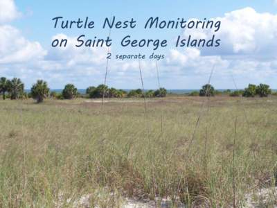 Turtle Nest Monitoring on Saint George Islands 2 separate days Apalachicola National Estuarine Research Reserve – Little St. George