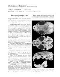 MAMMALIAN SPECIES Aonyx congicus.