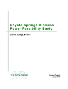 Microsoft Word - Coyote Springs Biomass Power Feasibility Study Report[removed]doc