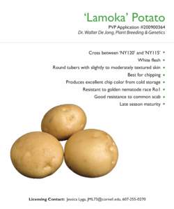 ‘Lamoka’ Potato  PVP Application #[removed]Dr. Walter De Jong, Plant Breeding & Genetics  Cross between ‘NY120’ and ‘NY115’