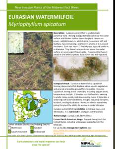 Microsoft PowerPoint - eurasian watermilfoil