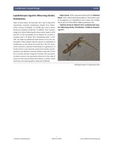 caribbean herpetology  note Lepidodactylus lugubris (Mourning Gecko). Distribution.