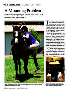VETERINARY CONNECTION  A Mounting Problem Study shows: just getting on can hurt your horse’s back BY HILARY CLAYTON, BVMS, PHD, MRCVS