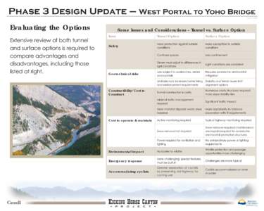 Phase 3 Design Update – West Portal to Yoho Bridge April 15, 2008 Evaluating the Options Extensive review of both tunnel and surface options is required to