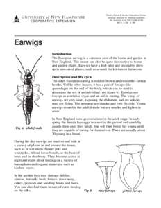 Family, Home & Garden Education Center practical solutions to everyday questions Toll free Info Line[removed]M-F • 9 AM - 2 PM  Earwigs