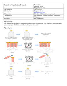 Retrovirus Transfection Protocol-external version