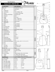 Sigma Guitars / Eric Johnson Stratocaster / Celtic music / Inlay / Guitar