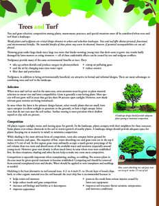 Trees and Turf Tree and grass selection, competition among plants, maintenance practices, and special situations must all be considered when trees and turf share a landscape. Woody plants and turfgrasses are critical des