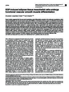 EGF-induced adipose tissue mesothelial cells undergo functional vascular smooth muscle differentiation