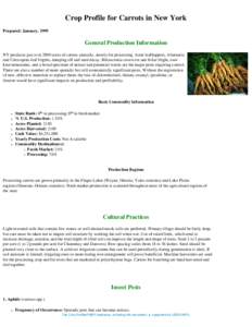 Crop Profile for Carrots in New York Prepared: January, 1999 General Production Information NY produces just over 2000 acres of carrots annually, mostly for processing. Aster leafhoppers, Alternaria and Cercospora leaf b