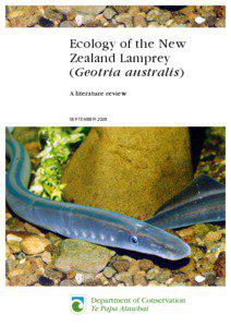 Ecology of the New Zealand Lamprey