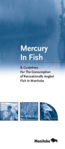 Mercury In Fish & Guidelines For The Consumption of Recreationally Angled Fish In Manitoba