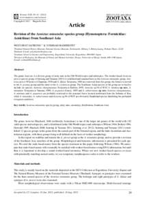 Revision of the Aenictus minutulus species group (Hymenoptera: Formicidae: Aenictinae) from Southeast Asia