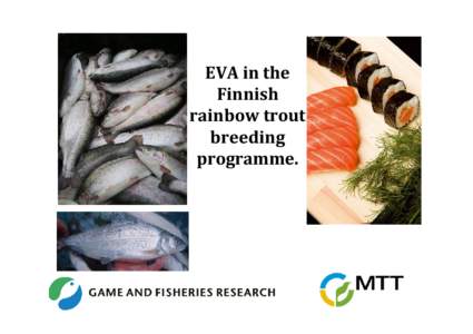 EVA in the  Finnish  rainbow trout  breeding  programme.