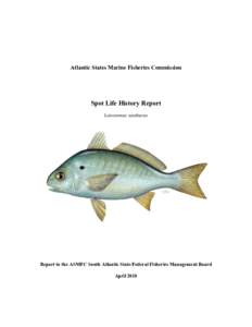 Auditory system / Otolith / Paleontology / Sport fish / Spot croaker / Virginia Institute of Marine Science / Stock assessment / Annulus / Chesapeake Bay / Fish / Fisheries science / Fish anatomy
