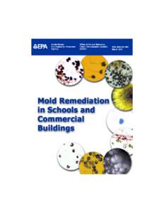 Mold Remediation in Schools and Commercial Buildings