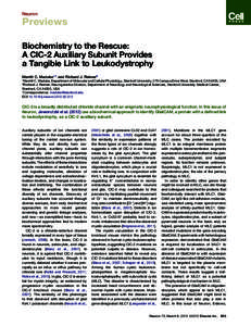 Biochemistry to the Rescue: A ClC-2 Auxiliary Subunit Provides a Tangible Link to Leukodystrophy