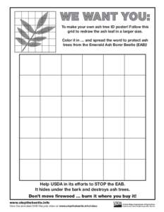 WE WANT YOU: To make your own ash tree ID poster! Follow this grid to redraw the ash leaf in a larger size. Color it in … and spread the word to protect ash trees from the Emerald Ash Borer Beetle (EAB)!