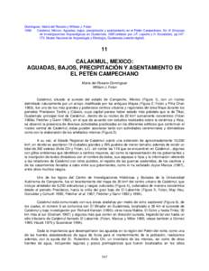 Domínguez, María del Rosario y William J. Folan 1996 Calakmul, México: Aguadas, bajos, precipitación y asentamiento en el Petén Campechano. En IX Simposio