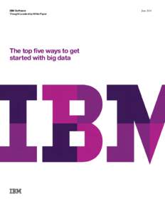 IBM Software Thought Leadership White Paper The top five ways to get started with big data