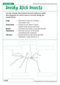 Activity Sheet 1  Steve Parish KIDS Story Book Insects Series by Rebecca Johnson Sneaky Stick Insects Use the Sneaky Stick Insects book to help you label