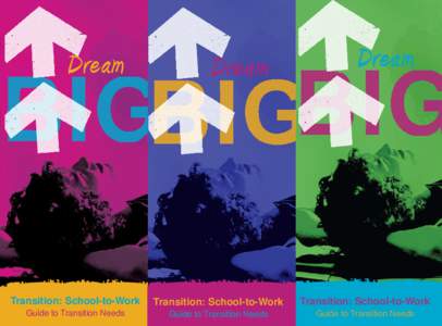 Dream  BIG Transition: School-to-Work Guide to Transition Needs