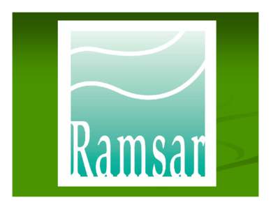 The Ramsar Convention on Wetlands Signed in Ramsar, Iran in 1971 Over 150 Countries Have Joined Over 1700 wetland designated “Wetlands of International Importance,” with 150 million hectares
