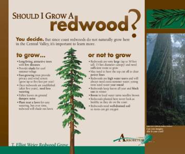 SHOULD I GROW A You decide. But since coast redwoods do not naturally grow here in the Central Valley, it’s important to learn more. • Long-living, attractive trees with few diseases