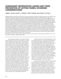 CORMORANT DEPREDATION LOSSES AND THEIR PREVENTION AT CATFISH FARMS: ECONOMIC CONSIDERATIONS JAMES F. GLAHN, SCOTT J. WERNER, TERRY HANSON AND CAROLE R. ENGLE Abstract: Although several piscivorous birds are involved in d