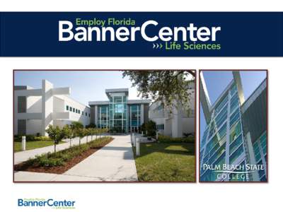 South Florida Subsample of Banner Center Survey • Survey respondents (28 companies represented) – Broward county: 25% – Miami-Dade: 11% – Palm Beach County: 64% • 82% respondent’s HQ in Florida*