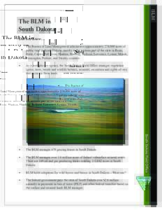 BLM  The BLM in South Dakota Did You Know… The Bureau of Land Management administers approximately 278,000 acres of