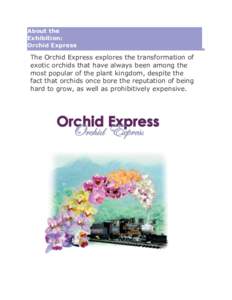 Microsoft Word[removed]Orchid Express Preview.doc