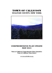 Callicoon Comp Plan May 2013a1.pdf