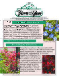 2011  NURSERY & LANDSCAPE ASSOCIATION This year marks Delaware Nursery & Landscape Association’s Seventeenth Annual Plant of the Year selection. The 2011 Herbaceous plant is Geranium ‘Gerwat’ Rozanne®. The 2011 Wo