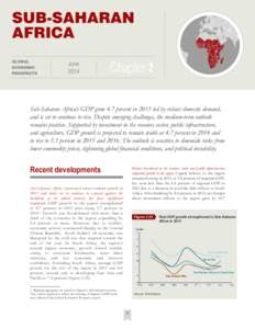 Sub-Saharan Africa’s GDP grew 4.7 percent in 2013 led by robust domestic demand, and is set to continue to rise. Despite emerging challenges, the medium-term outlook remains positive. Supported by investment in the res