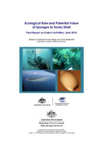 Ecological Role and Potential Value of Sponges to Torres Strait