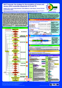 Im Muno Gene Tics  IMGT/Automat: the strategy for the annotation of human and