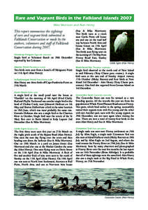 Rare and Vagrant Birds in the Falkland Islands 2007 Mike Morrison and Alan Henry This report summarises the sightings of rare and vagrant birds submitted to Falklands Conservation or made by the