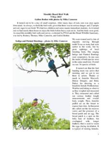 Monthly Heard Bird Walk 9 May 2015 Gailon Brehm with photos by Mike Cameron It turned out to be a day of small surprises. After many days of rain, rain was once again forecasted. As always, we held the bird walk, given t