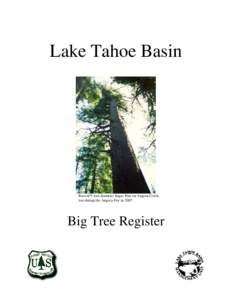 Lake Tahoe Basin  Record 9-foot diameter Sugar Pine on Angora Creek, lost during the Angora Fire in[removed]Big Tree Register