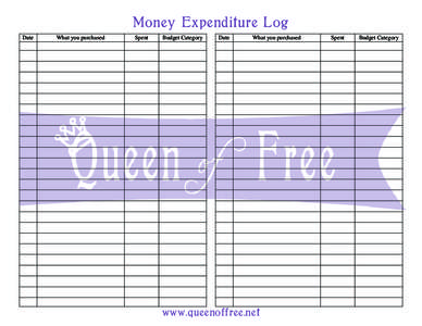 Money Expenditure Log Date What you purchased  Spent